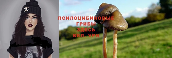 амфетамин Алексин